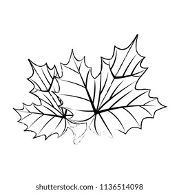 grape leafs isolated icon