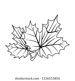 grape leafs isolated icon