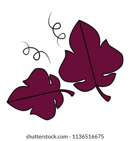 grape leafs isolated icon