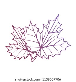 grape leafs isolated icon