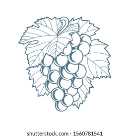 
Grape and leafs ornament. Grape vintage style vector illustration. Grape and leafs hand drawn sketch drawing. Part of set.
