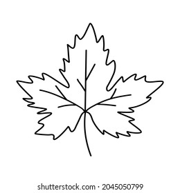 Grape leave icon. Thin black line  plant pictogram, flat vector simple element illustration from editable nature. Vector illustration isolated on white.