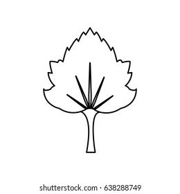 grape leave natural foliage line image