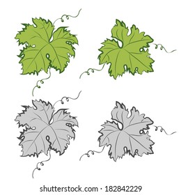 Grape leaves