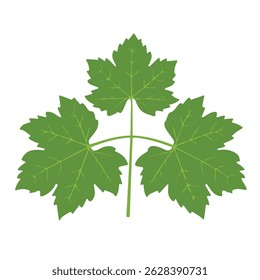 grape leaves 2D flat vector illustration icon, isolated on a white background.