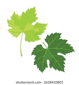grape deixa ícone de ilustração de vetor plano 2D, isolado em um fundo branco.