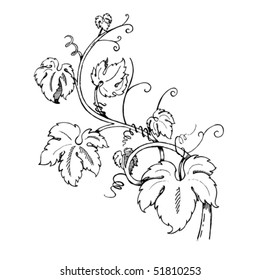 Grape Leaves baroque plants