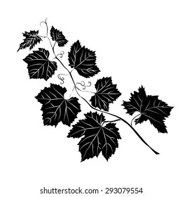 Grape Leaves baroque plants. Black contour on white background.  Vector illustration.