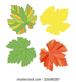 grape leaves decorated with different colors