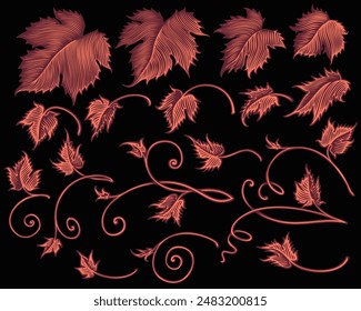 Grape leaves. Design set. Editable hand drawn illustration. Vector vintage engraving. Isolated on black background. 8 EPS