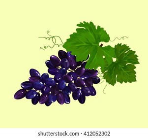 Grape leaves with a mustache