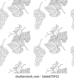 Grape line art vector isolated seamless pattern