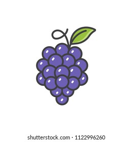 Grape line colored icon.