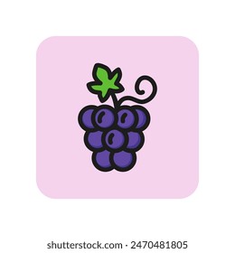 Grape line icon. Bunch, wine, leaf, berry. Food concept. Can be used for topics like restaurant, winery, vineyard, juice.