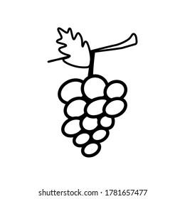 Grape line icon isolated on a white background