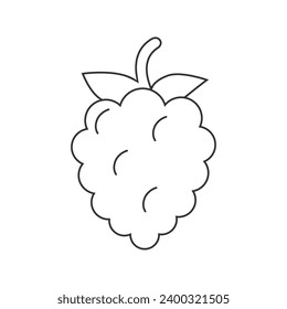 Grape line icon trendy flat design vector sign