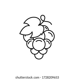 grape line icon. vector grape symbol