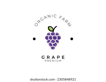 Grape logo design template. Simple line grape logo