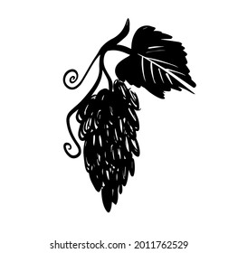 Icono del logo de la uva con estilo dibujado a mano sobre fondo blanco. Ilustración dibujada a mano de uva con hoja