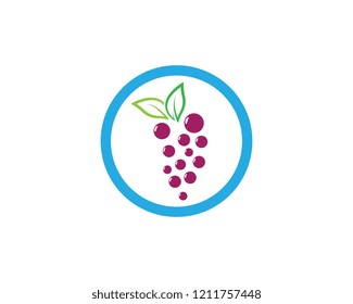 Grape logo illustration