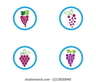 Grape logo illustration