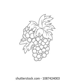 grape logo template
