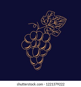 Grape logo vector icon in linear style for winery label design. Gold bunch of grapes wine packaging engraved style.