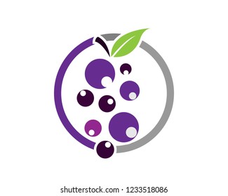 Grape logo vector template