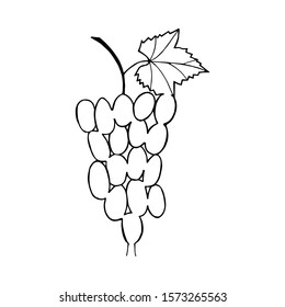  grape maze isolated on white. eps10 vector illustration. hand drawing