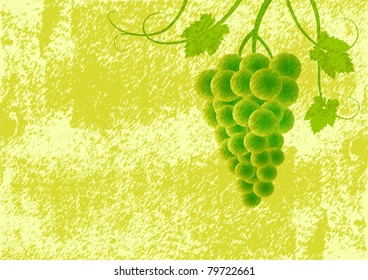 Grape on green background