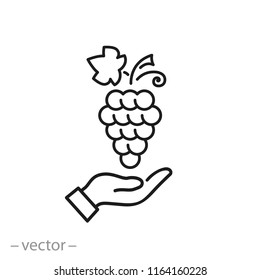 grape on hand icon, linear sign isolated on white background - editable vector illustration eps10