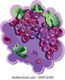 Grape on violet background