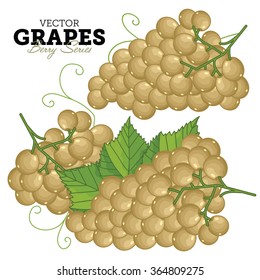 Grape on White Background