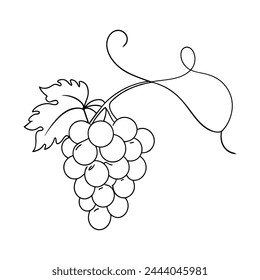 Grape one line continuous line art vector illustration on white background.