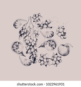 grape and orange on isolated background