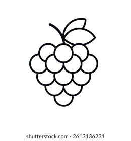 Grape outline icon on white background