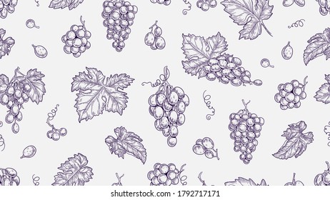 Grape pattern. Vine seamless texture, plants and leaves. Sketch vineyard and wine raw elements vector background