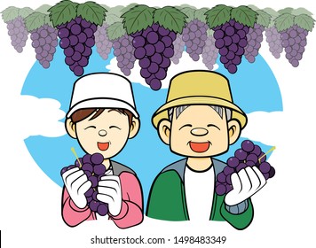 Grape picking  Autumn Holidays couple