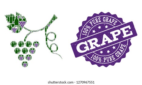 Grape plant composition of alcohol bottles and grape and grunge stamp seal. Isolated vectors in green and purple colors on a white background for bars, alcohol shop banners, ads, concepts.