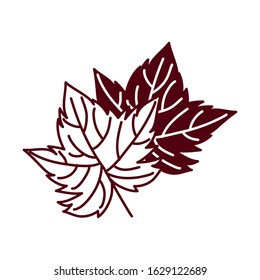 grape plant leaf nature icon vector illustration design