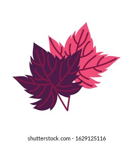 grape plant leaf nature icon vector illustration design