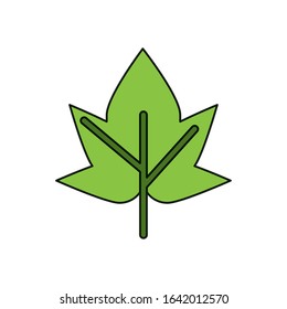 grape plant leaf nature icon vector illustration design