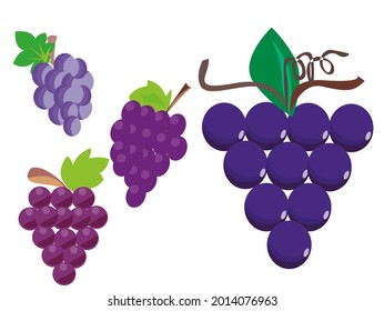 a grape with purple color