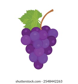 Uva. Uvas moradas con hojas. Ilustración vectorial de dibujos animados de uva de vino.