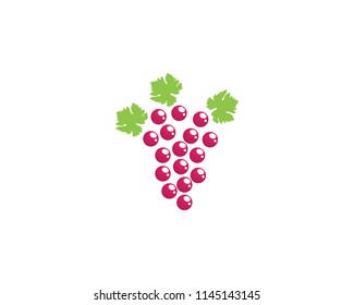 grape purple and green vector illustration