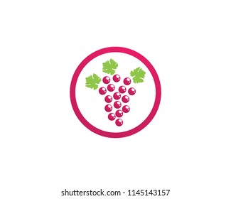 grape purple and green vector illustration