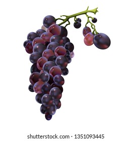 GRAPE RED FRESH BUNCH OF GRAPES 