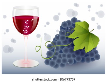 Grape and red wine