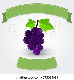 Grape with ribbon. Purple grape with blank ribbon for insert text. Gray gradient background with shadow.