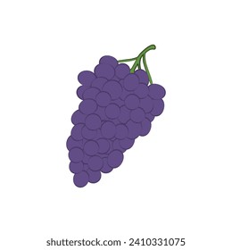Grape. A ripe bunch of grapes. Purple grapes. Garden fruit for making wine. Vector illustration isolated on a white background